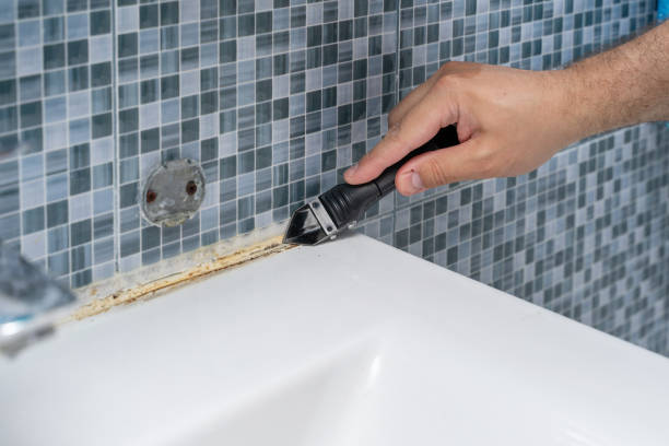 Best Mold Testing  in Seaman, OH